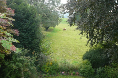 Fensterausblick