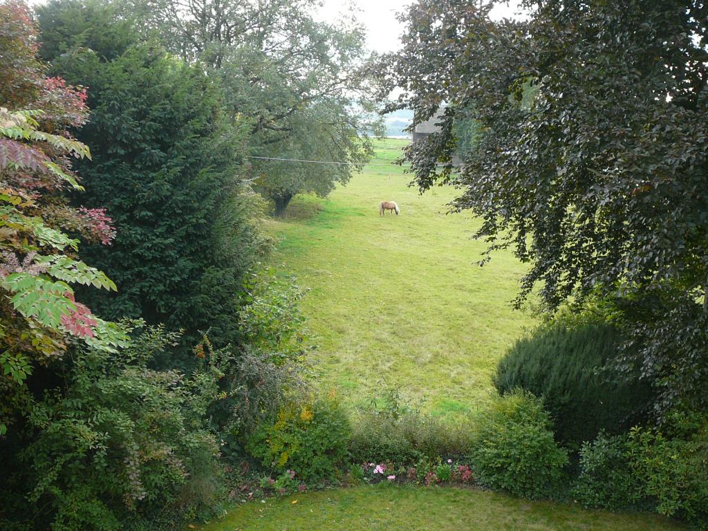 Fensterausblick